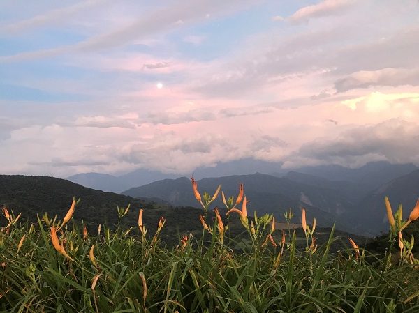環山雅築 Mountain Lodge 清々しい朝
