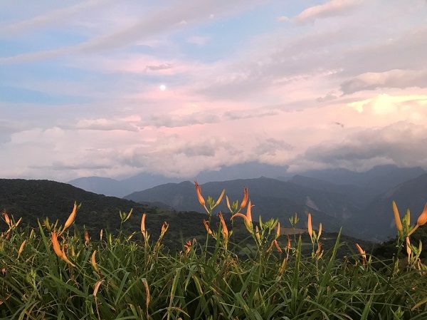 環山雅築 Mountain Lodge　清々しい朝